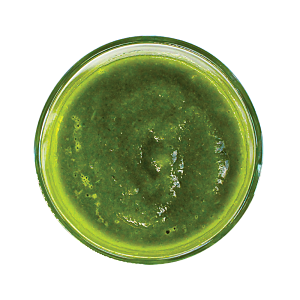 Top view of green frozen craft smoothie in a glass by Living Farmacy.