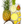 Top view picture of pineapple, coconut and fruit in the Power craft smoothie by Living Farmacy Inc.